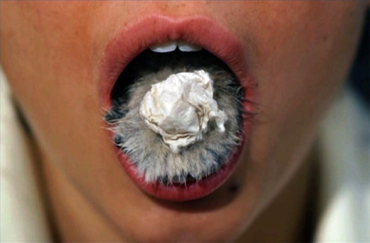 The Beauty is the Beast (Bady Minck, 2005)